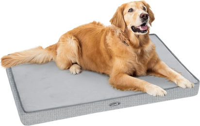 Pecute Hundekissen aus Plüsch für mittlere Hunde Grau Größe M 89 x 56 x 7 cm – Bild 1 von 5