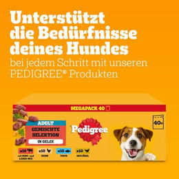 Pedigree Hundefutter Adult Stückchen in Gelee Gemischte Selektion 40 x 100g - 40 x 100 g – Bild 1 von 5