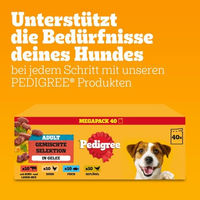 Produktbild von Pedigree Hundefutter Adult Stückchen in Gelee Gemischte Selektion 40 x 100g - 40 x 100 g