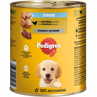 Produktbild von Pedigree Junior Hundefutter Geflügel in Pastete für Welpen 12 x 800 g - 12 x 800 g