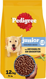 Pedigree Junior Hundefutter Gesundes Wachstum 12 kg – Bild 1 von 2