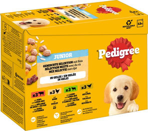 Produktbild von Pedigree Junior Hundefutter Welpe Stückchen in Gelee Gemischte Selektion 24 x 100 g - 24 x 100 g