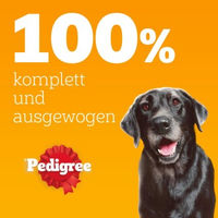 Produktbild von Pedigree Nassfutter Hund Senior Huhn Pastete 12x800 g - 12 x 800 g
