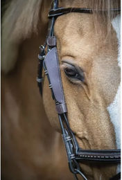 Pénélope Augenmuscheln für Ponys aus Leder in Schwarz oder Braun – Bild 1 von 1