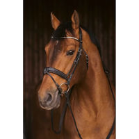 Produktbild von Pénélope Daily Strass Trense aus Leder für Warmblut in Schwarz oder Braun
