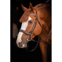Produktbild von Pénélope Daily Strass Trense aus Leder für Warmblut in Schwarz oder Braun