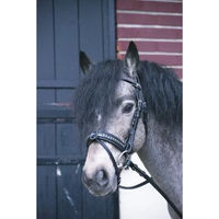 Produktbild von Pénélope Zaumzeug Eden aus Leder für Ponys in Schwarz oder Braun