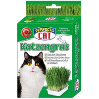 Produktbild von Perfecto Cat Katzengras Saatgut mit Pflanzschale und Vermiculit 100 g zur Verdauungshilfe für Katzen