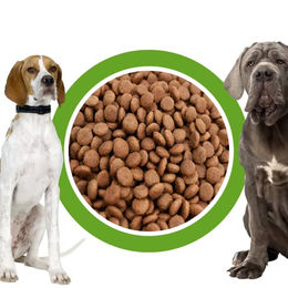 Perfecto Dog Trockenfutter Lamm & Reis für erwachsene Hunde getreidefrei 15kg – Bild 1 von 2