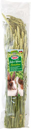 Perfecto Nager Ergänzungsfutter Hafer & Weizen Sträußchen für Kaninchen 100 g – Bild 1 von 1