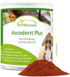 PerNaturam Ascodent Plus Zahnpflege Pulver 50g – Bild 1 von 2