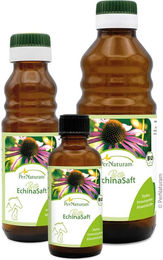 Produktbild von PerNaturam Bio EchinaSaft zur Immunstärkung 50 ml