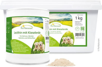 Produktbild von PerNaturam Lecithin mit Kieselerde Nahrungsergänzung für Hunde zur Unterstützung von Gelenken, Haut und Fell 500g