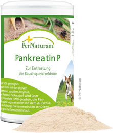 Produktbild von PerNaturam Pankreatin P Verdauungshilfe für Magen-Darm 100g