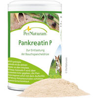 Produktbild von PerNaturam Pankreatin P Verdauungshilfe für Magen-Darm 100g