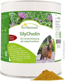 PerNaturam SilyCholin Ergänzungsfutter Pulver zur Unterstützung von Leber und Verdauung – Bild 1 von 2