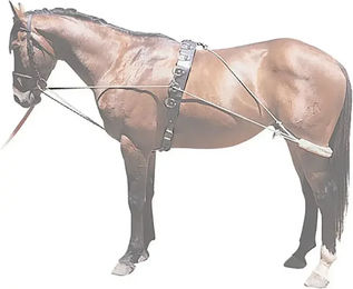 Pessoa Longierzopf für Pony in Braun – Bild 1 von 1