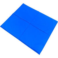 Produktbild von Pet Cool Kühlmatte für Hunde XL Blau