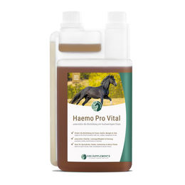 PET ESSENTIAL Haemo Pro Vital Ergänzungsfutter mit Eisen zur Blutbildung und Unterstützung des Immunsystems 1000 ml – Bild 1 von 2