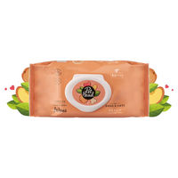 Produktbild von Pet Head Quick Fix Pflegetücher für Hunde und Welpen 2 x 100 Stück