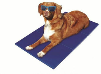 Pet-Star Kühlmatte Hundematte Blau 90 x 50 cm – Bild 1 von 1