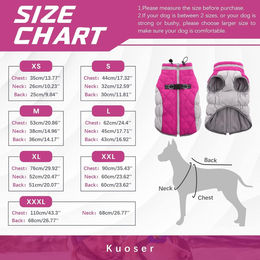 PetCandy Wasserdichter Hundemantel Winterjacke mit Fleece-Fütterung in Rosa – Bild 1 von 6