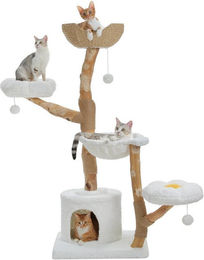 PETEPELA Kratzbaum aus Holz mit Kuschelhöhle und Hängematte für Katzen in Beige – Bild 1 von 3