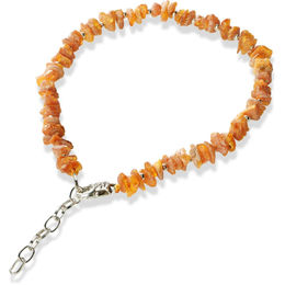 Produktbild von PETGARD Bernsteinhalsband mit Kette für Hunde und Katzen Orange 50-54 cm