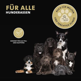 Peticare Anti-Parasiten Hunde-Shampoo gegen Milben und Flöhe für alle Altersstufen und Felltypen 250 ml - 250 ml – Bild 1 von 2