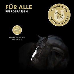 Peticare Anti-Parasiten Pferde-Shampoo gegen Milben Flöhe und Pilze zur Linderung von Juckreiz 250 ml - 250 ml – Bild 1 von 6