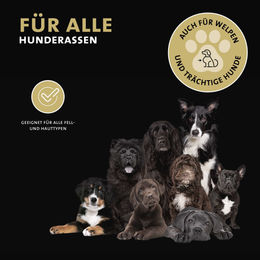 Peticare Augenreiniger für Hunde und Katzen 50 ml – Bild 1 von 3