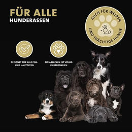 Peticare Bio Anti-Parasiten Mittel für Hunde gegen Milben und Flöhe 50 ml - 50 ml – Bild 1 von 7