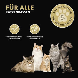Peticare Bio Anti-Parasiten Mittel für Katzen gegen Flöhe und Milben 50 ml - 50 ml – Bild 1 von 7