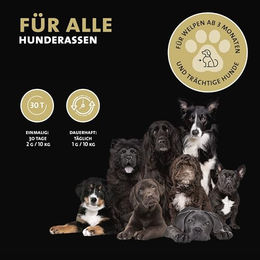 Peticare Ergänzungsfutter Pulver für Hunde zur Immunstärkung, Gelenk-Unterstützung und Haut-Fell-Pflege, 125 g - 125 g – Bild 1 von 6