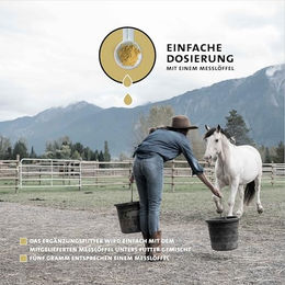 Peticare Ergänzungsfutter Pulver für Pferde zur Unterstützung von Hufen, Haut und Fell 200g – Bild 1 von 6