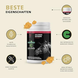 Peticare Gelenk-Kur Pulver für Pferde zur Unterstützung der Gelenke 200 g - 200 g – Bild 1 von 8