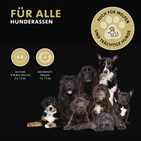 Produktbild von Peticare Gelenkpulver für Hunde mit MSM und Kollagen 250 g - 250 g