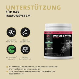 Peticare Immun & Vital Mix Pulver für Pferde zur Unterstützung von Immunsystem und Verdauung 200g – Bild 1 von 5