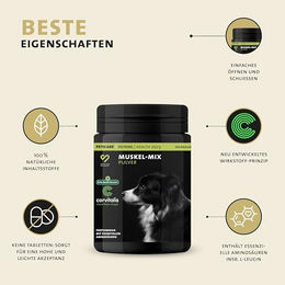 Peticare Muskulatur & Aktiv Pulver-Mix für Hunde mit Kollagen und Aminosäuren zur Unterstützung des Muskelaufbaus 250 g - 250 g – Bild 1 von 9