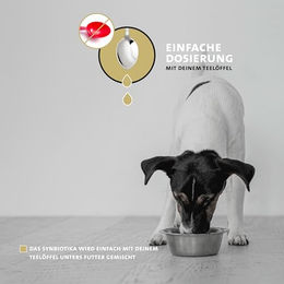 Peticare Probiotika und Präbiotika Pulver für Hunde zur Unterstützung der Magen-Darm-Gesundheit 125 ml - 125 g – Bild 1 von 6