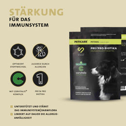 Peticare Probiotika und Präbiotika Pulver für Hunde zur Unterstützung der Magen-Darm-Verdauung 250 g - 250 g – Bild 1 von 6