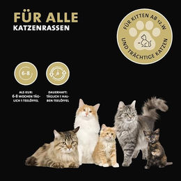 Peticare Probiotika und Präbiotika Pulver für Katzen zur Unterstützung von Magen-Darm und Immunsystem 100 g - 100 g – Bild 1 von 7