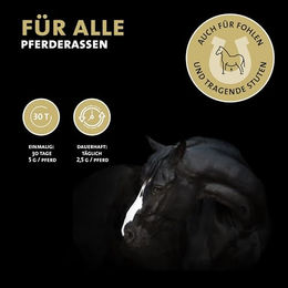 Peticare Relax-Mix Beruhigendes Ergänzungsfutter für Pferde Bio Pulver 200g - 200 g – Bild 1 von 7