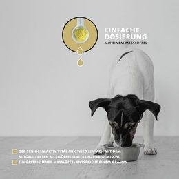 Peticare Senior Aktiv Vital Mix Pulver für Hunde zur Gelenkunterstützung 125g - 125 g – Bild 1 von 7