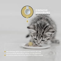Produktbild von Peticare Senior Aktiv Vital Mix Pulver für Katzen zur Unterstützung der Gelenke 100 g - 100 g