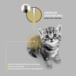 Peticare Spot-On Zecken- und Milben-Schutzmittel für Katzen auf pflanzlicher Basis 200 ml - 200 ml – Bild 1 von 2