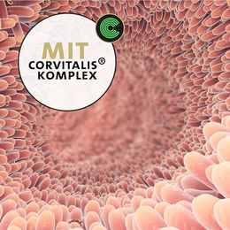 Peticare W-Mix Pulver für Hunde Pflanzlicher Ergänzungs-Mix zur Unterstützung der Magen-Darm-Gesundheit und Verdauung 90 g - 90 g – Bild 1 von 6