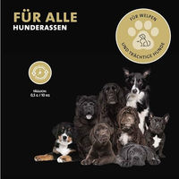 Produktbild von Peticare Zahnpflege Pulver für Hunde zur Unterstützung von Zähnen, Verdauung und Immunsystem 125g