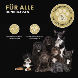 Peticare Zeckenschutz für Hunde Spot-On pflanzlich gegen Zecken Milben und Flöhe 200 ml - 200 ml – Bild 1 von 6
