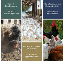 Petigi Badesand Urgesteinsmehl als Staubbad und Einstreu für Hühner, Enten, Wachteln und Tauben - 5 kg – Bild 1 von 5